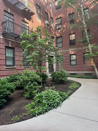 38 Linnaean St #3 Photo 1