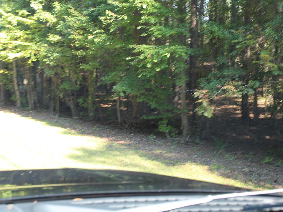 1st image of Dogwood Trl