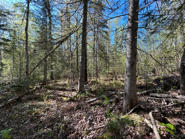 M8/L17A Bald Mt Road, Rangeley Plt, ME 04964