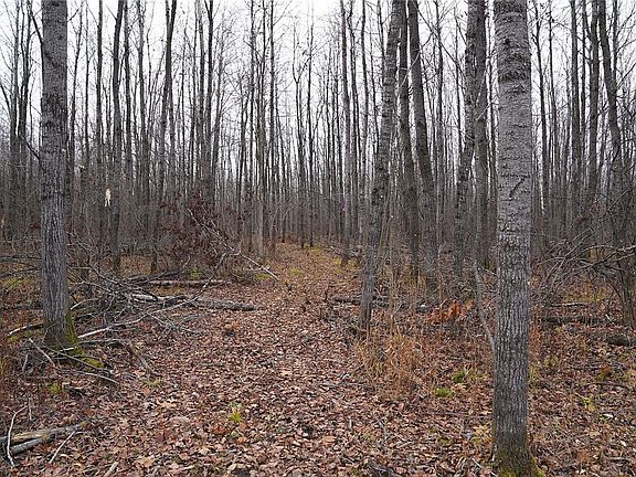 5th image of 0 Godfrey Road