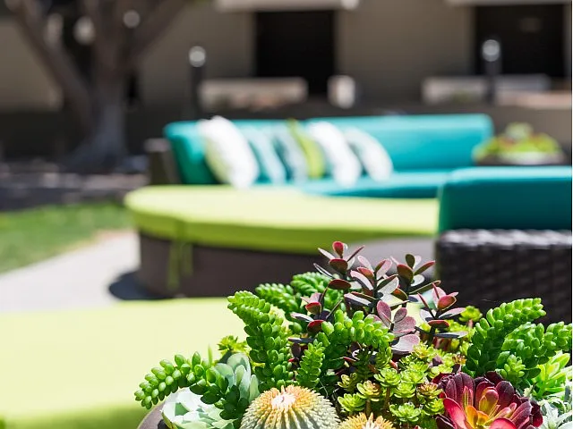 Scottsdale 59 — Photo 22