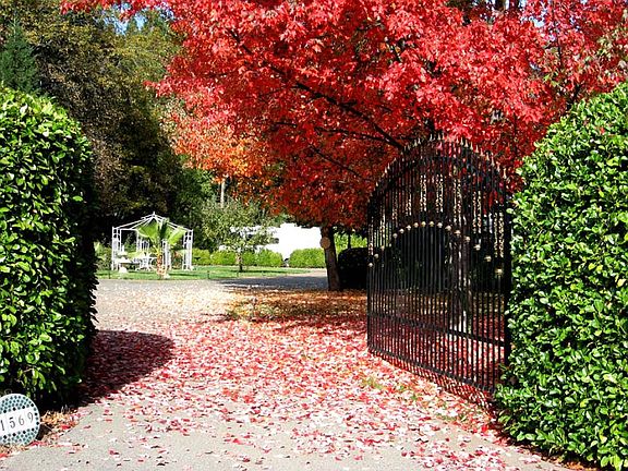 Entrance to property