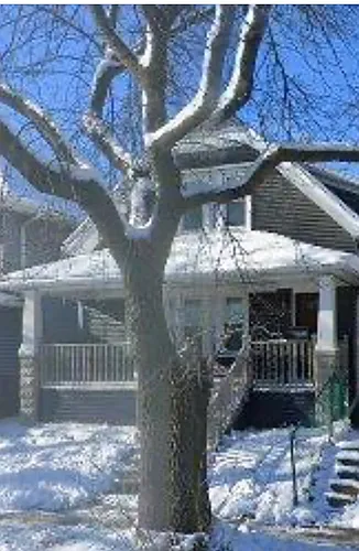 3035 N 8th St Photo 1