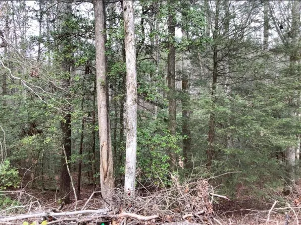 2 Chow Ln, Ellijay, GA 30540