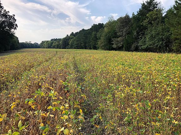 3rd image of 396 County Road 6100