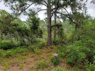205 Imagination Dr #161C, Lake Placid, FL 33852