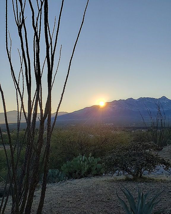 View from front courtyard