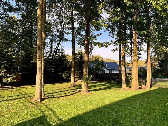 Back yard