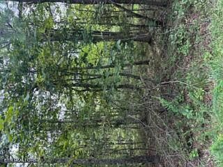 1st image of 406 Wahoo Dr