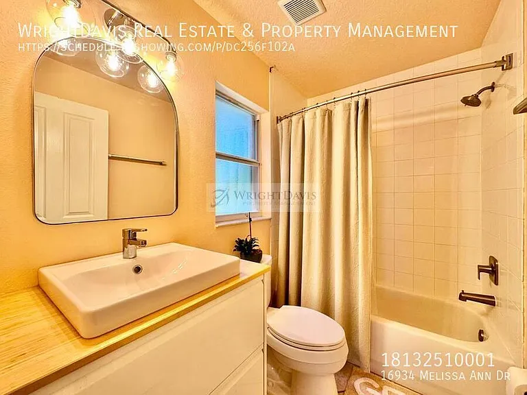 16934 Melissa Ann Dr — Photo 47