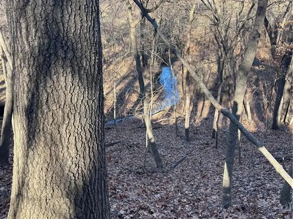 U Hwy, Platte City, MO 64079