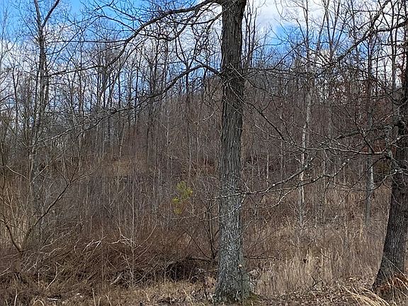 3rd image of Amanda Daugherty Ln