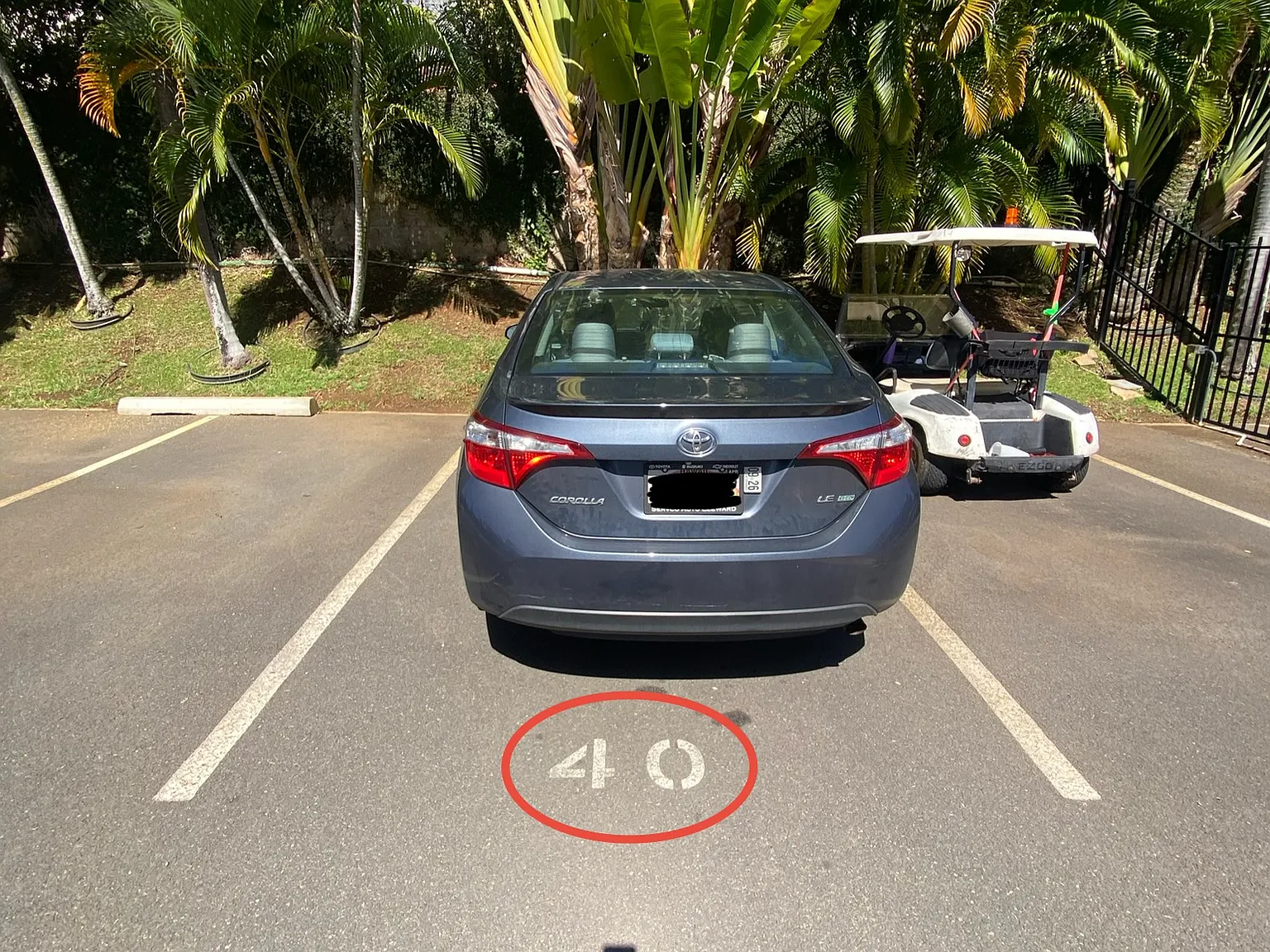 1060 Kamehameha Hwy — Photo 4