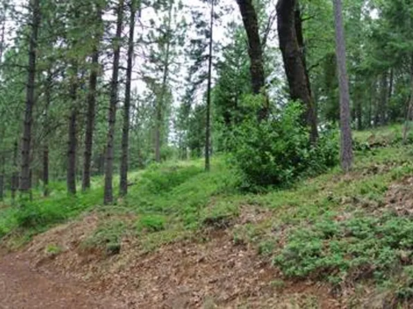 10 Gray Eagle Ln, Foresthill, CA 95631