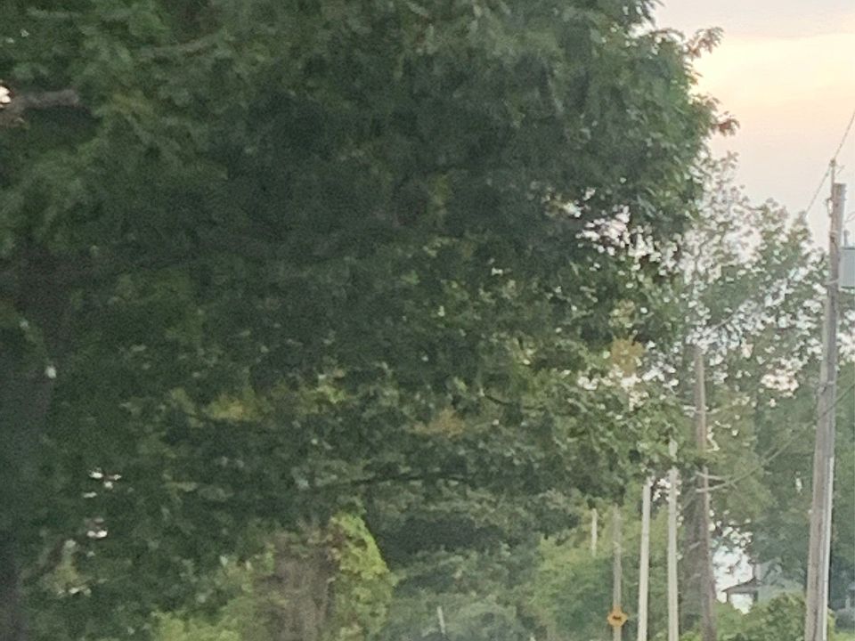 442 Henshaw St, Leicester, MA 01524 Zillow