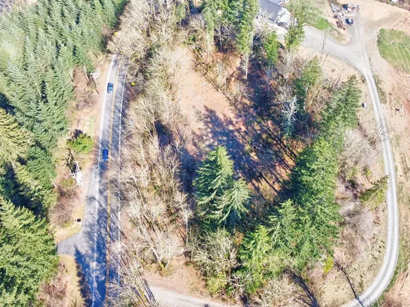 NE Farger Lake Hwy, Yacolt, WA 98675