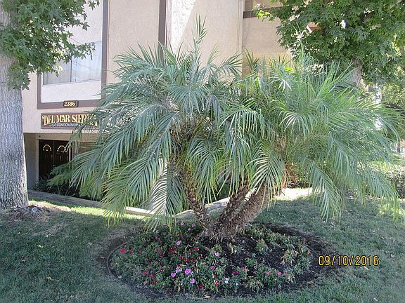 3rd image of 2386 E Del Mar Blvd Unit 222