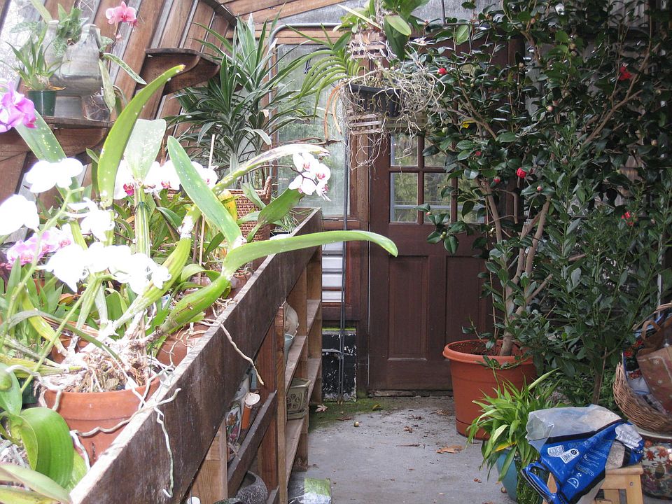 GreenHouse, inside