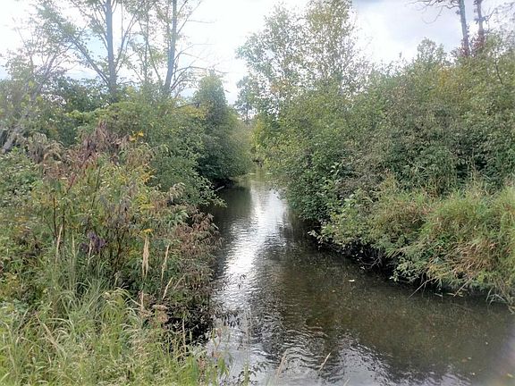5th image of 5500 Kisser Road 50.82 Acres
