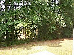 Private, small backyard