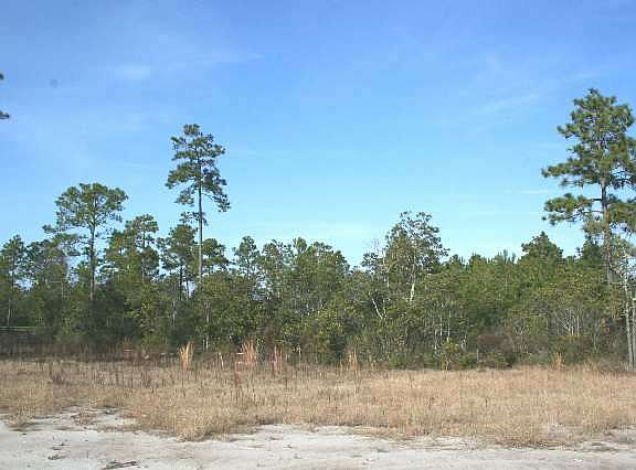 2nd image of Lot 10 Society Rd.