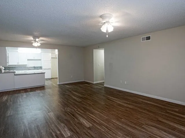 Plan C: Spacious Living Room Plan C: Spacious Living Room