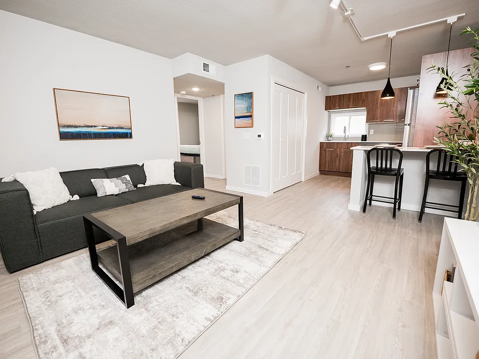 908 Stoughton St #7