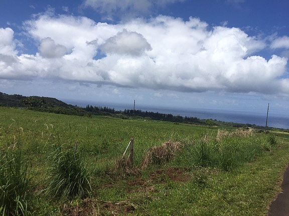 4th image of Onohi Loop Lot 24-B