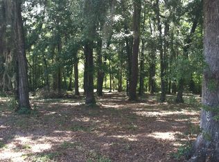 195 Back Of The Moon Rd, Brinson, GA 39825