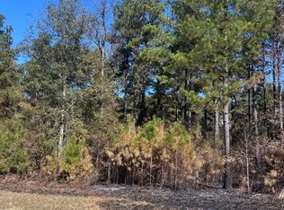 131 W Drummond Rd, West Pt, GA 31833