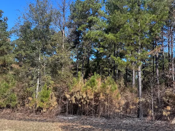 131 W Drummond Rd, West Pt, GA 31833