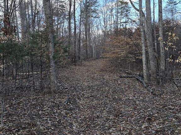 5th image of Knob Rd