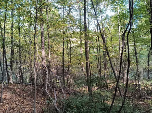 0 Greenbriar Rd, Dunbar, PA 15431