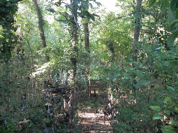 5th image of 523 Forest Hill Dr