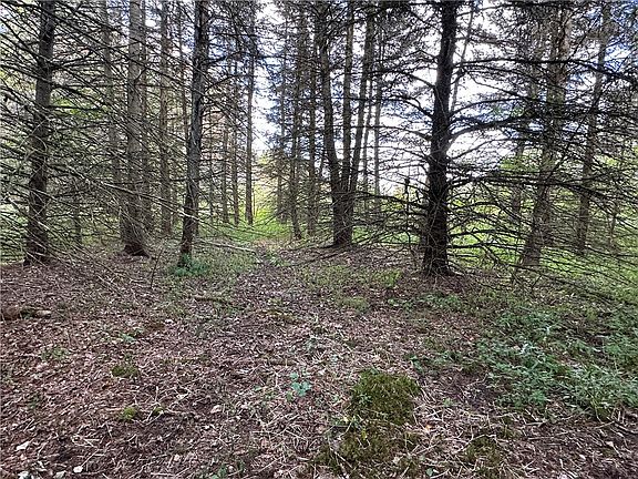 2nd image of LOT 7 McAndrews Rd