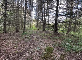 McAndrews Rd LOT 7, Andover, NY 14806