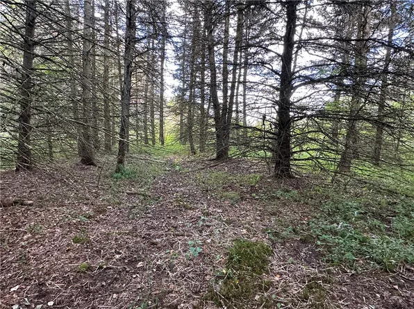 LOT 7 McAndrews Rd, Andover, NY 14806