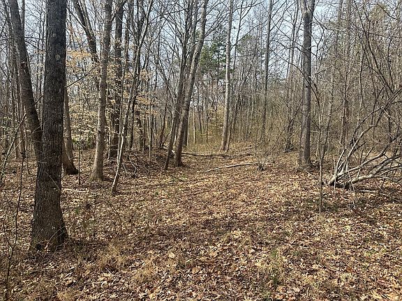 3rd image of 35 Coxs Store Rd