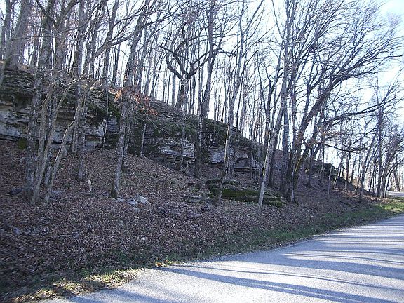 Front View on Leatherwood Dr