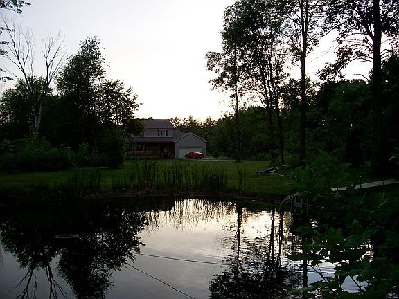 View from Pond