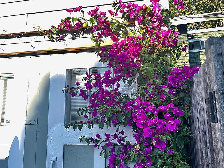 Lyon Ave — Photo 17