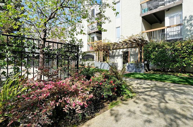 1st image of 707 Bryant St APT 306