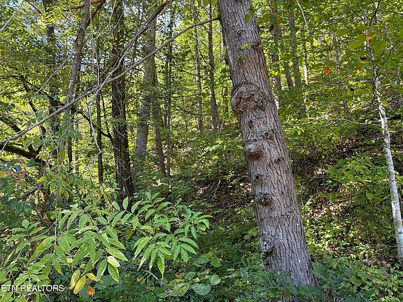 2nd image of N Clearfork Road 2 Lot 1 #Sec