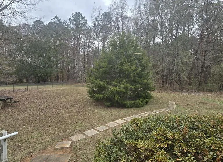 169 Vaughn Ln #B — Photo 5