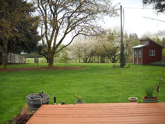 Beautiful park like backyard