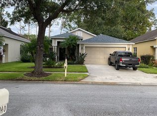 10159 Heather Sound Dr, Tampa, FL 33647