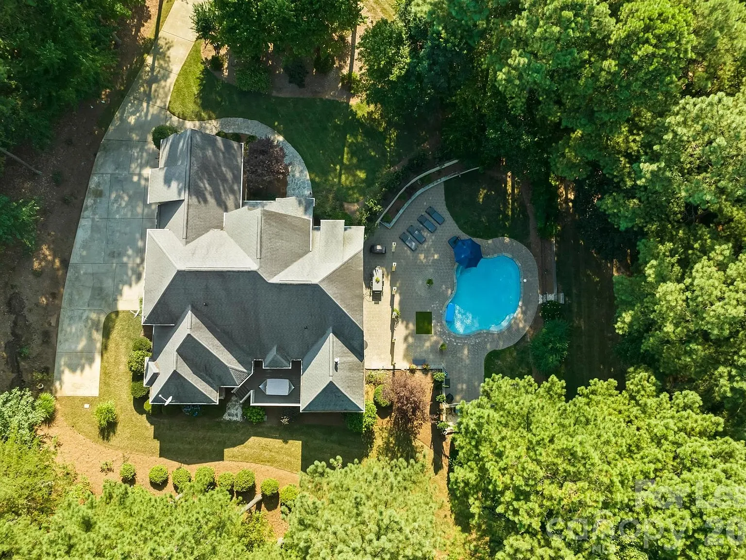 4 bed, 4.0 bath, 5463 sqft, $6,000 — Photo 3