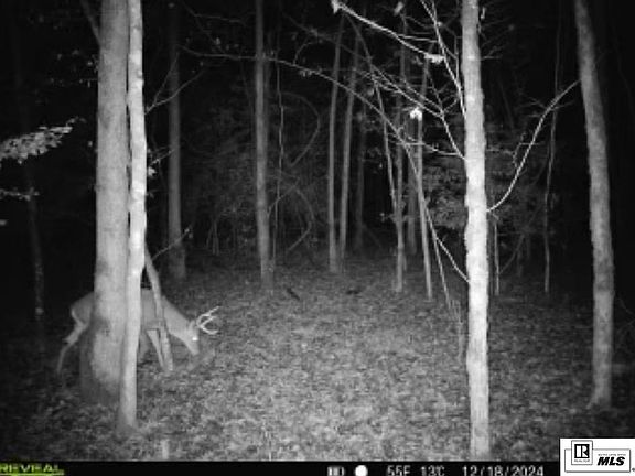 5th image of 0 Jinks Rd