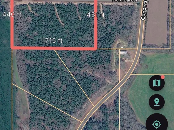 22 Dora Barber Rd, Tylertown, MS 39667