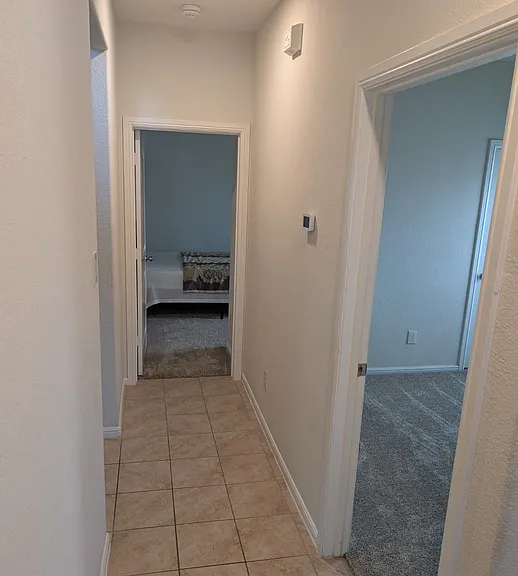 8244 Brashear Trl — Photo 15